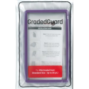 画像1: GradedGuard【紫】