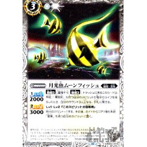 画像1: 月光魚ムーンフィッシュ【C】【BS64-033】