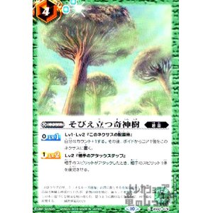 画像1: そびえ立つ奇神樹【C】【BS64-078】