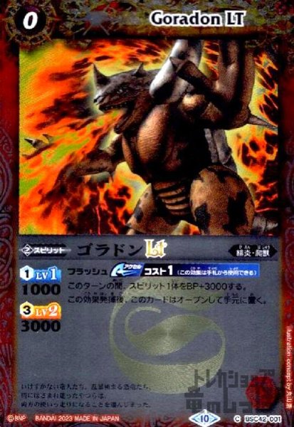 画像1: ゴラドンLT(C/X仕様)(BSC42-001) (1)