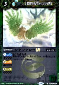 シダフクロウLT(C/X仕様)(BSC42-029)