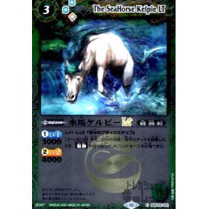 画像1: 水馬ケルピーLT(C/X仕様)(BSC42-031)