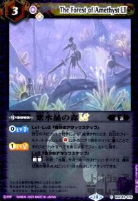 紫水晶の森LT(C/X仕様)(BSC42-075)