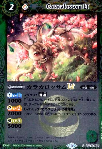 画像1: カラカロッサムLT(C/X仕様)(BSC45-032) (1)