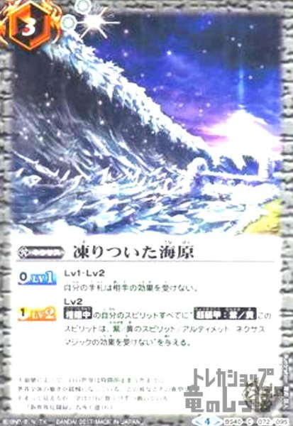 画像1: 凍りついた海原 (1)